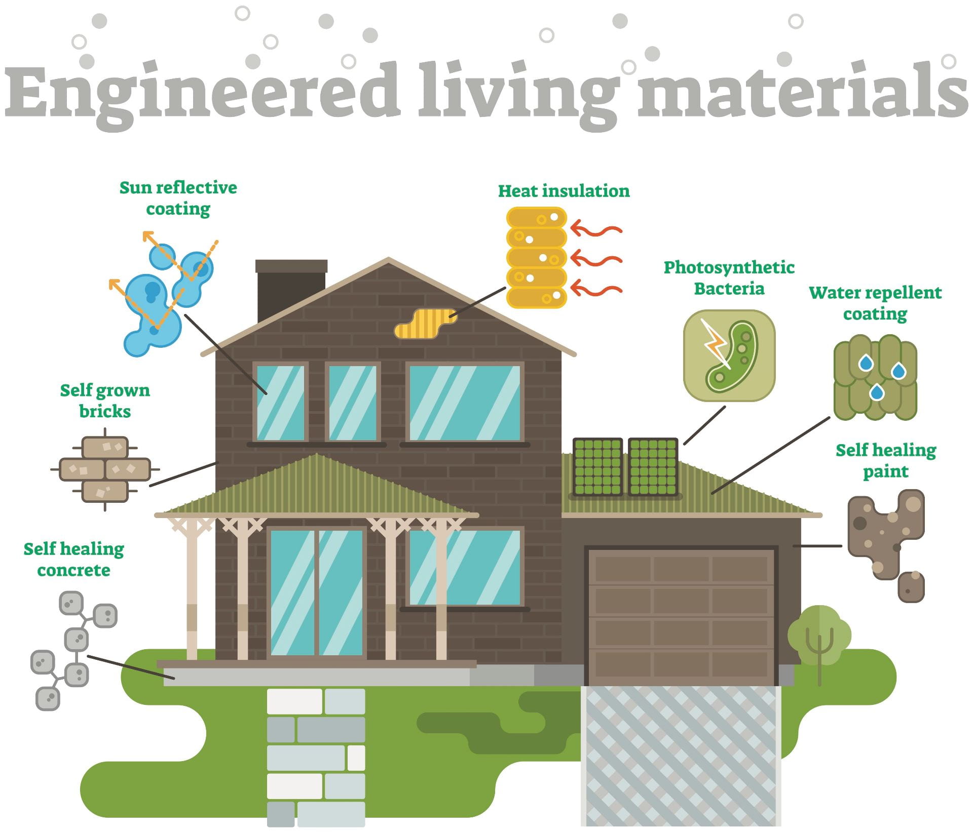 Engineered living materials  Laboratory for Synthetic